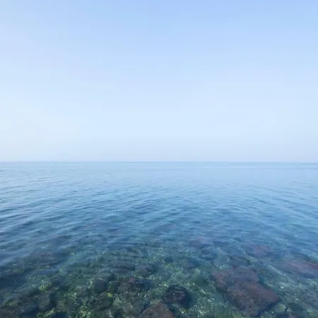 Korala